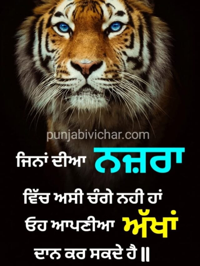 attitude-status-in-punjabi